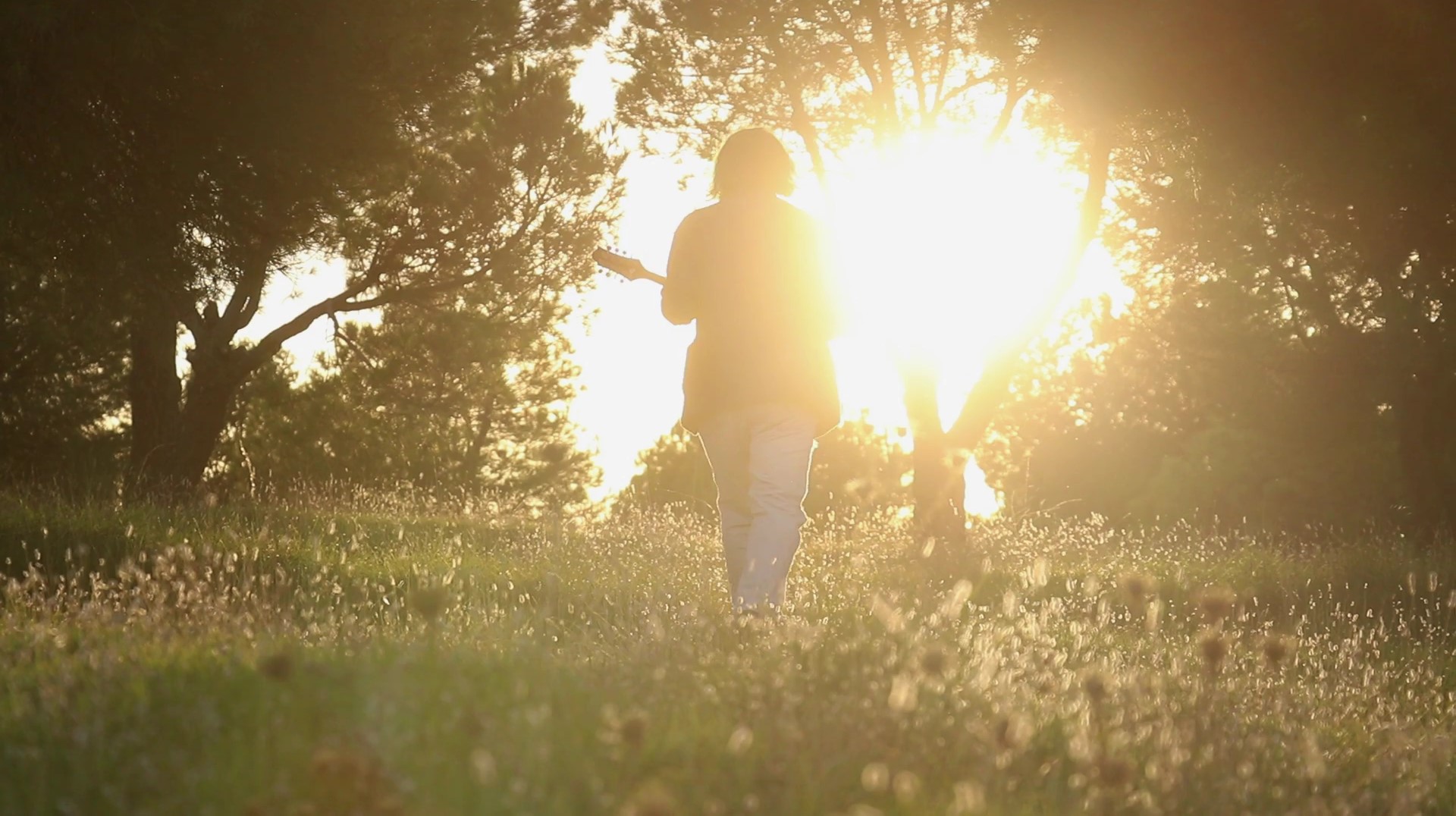 Bosque con rayo de luz donde se ha rodado el videoclip