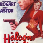 Cine Negro